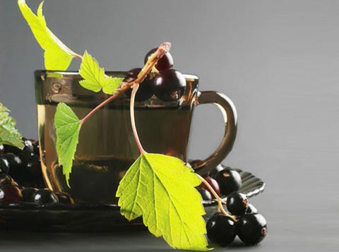 чай из листьев чёрной смородины