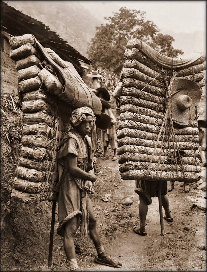 Носильщики тюков с чаем из племени Ладен.Провинция Сычуань. 1908 год. Вес одного тюка 300 фунтов, т.е. около 130 кг.